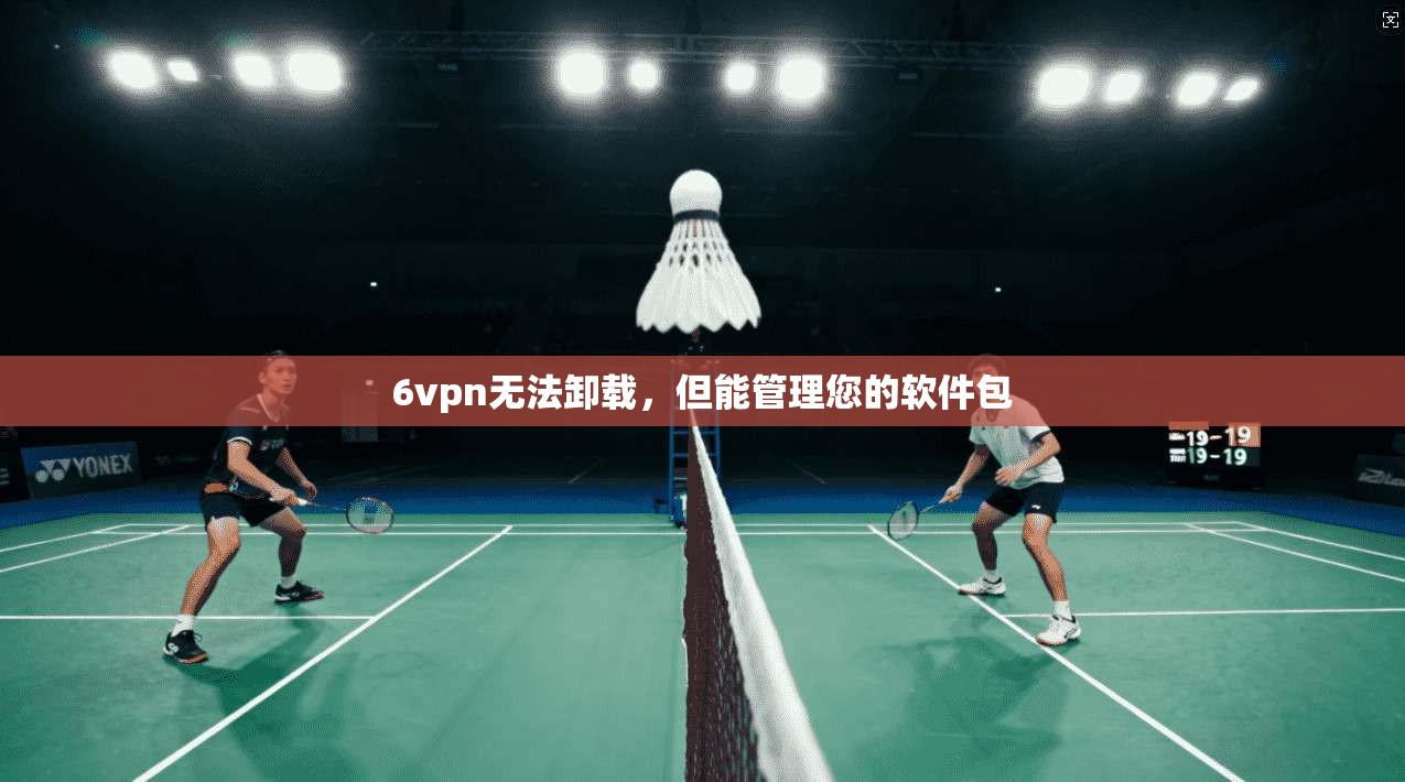 6vpn无法卸载，但能管理您的软件包