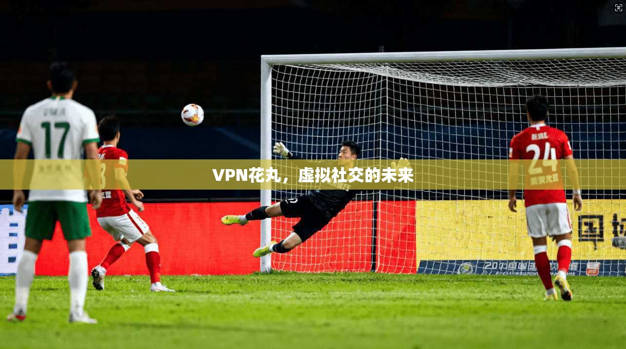 VPN花丸，虚拟社交的未来