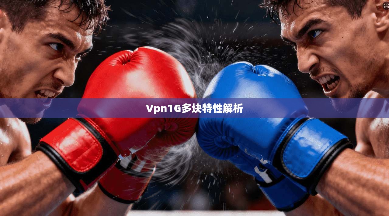 Vpn1G多块特性解析