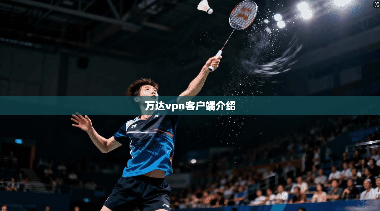 万达vpn客户端介绍