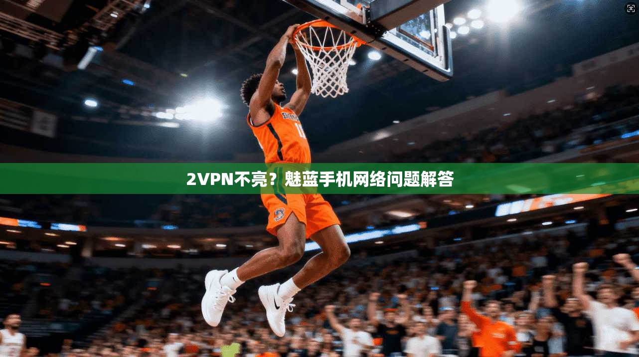 2VPN不亮?魅蓝手机网络问题解答