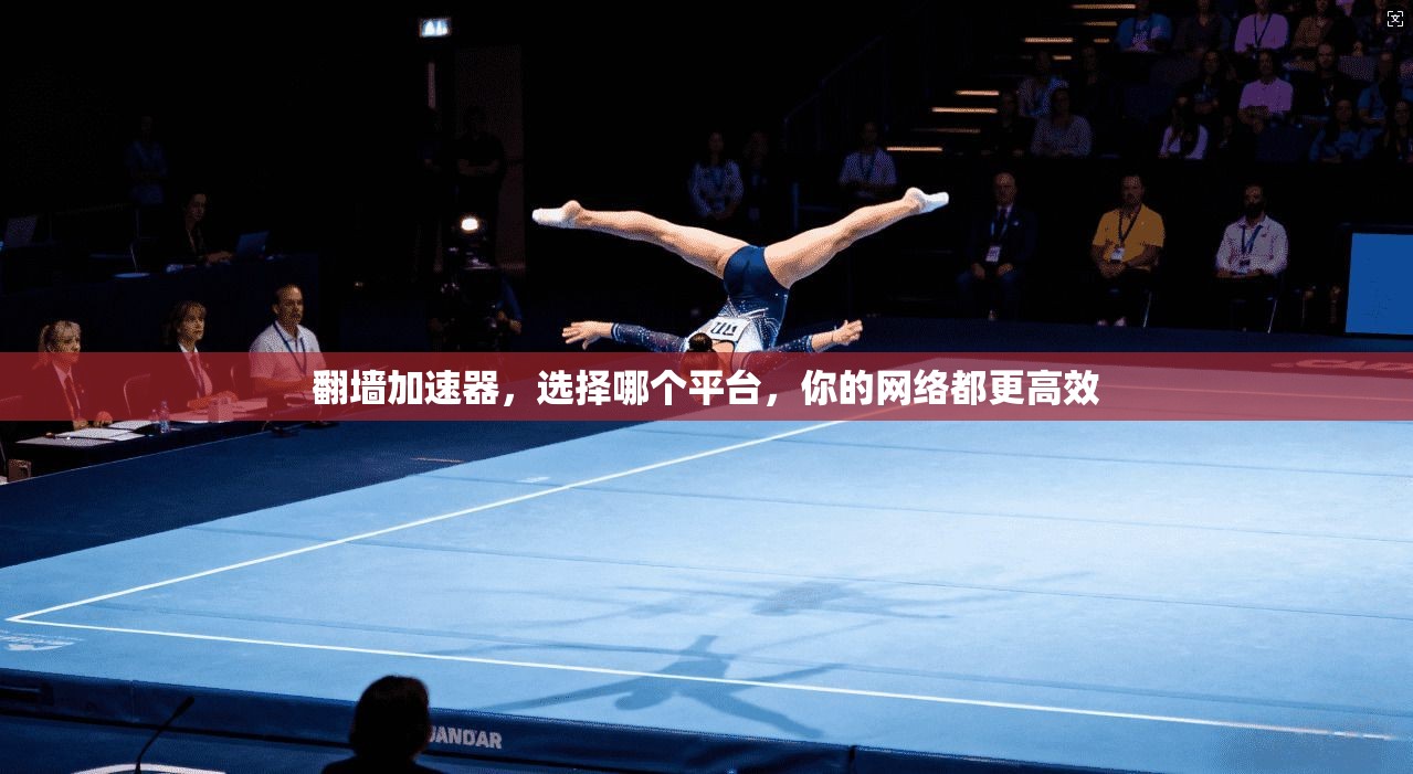 翻墙加速器，选择哪个平台，你的网络都更高效