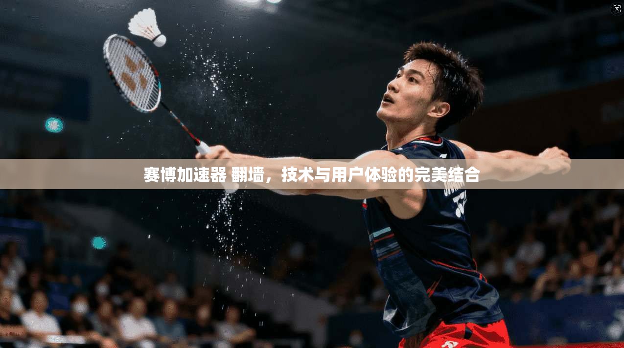 赛博加速器 翻墙，技术与用户体验的完美结合