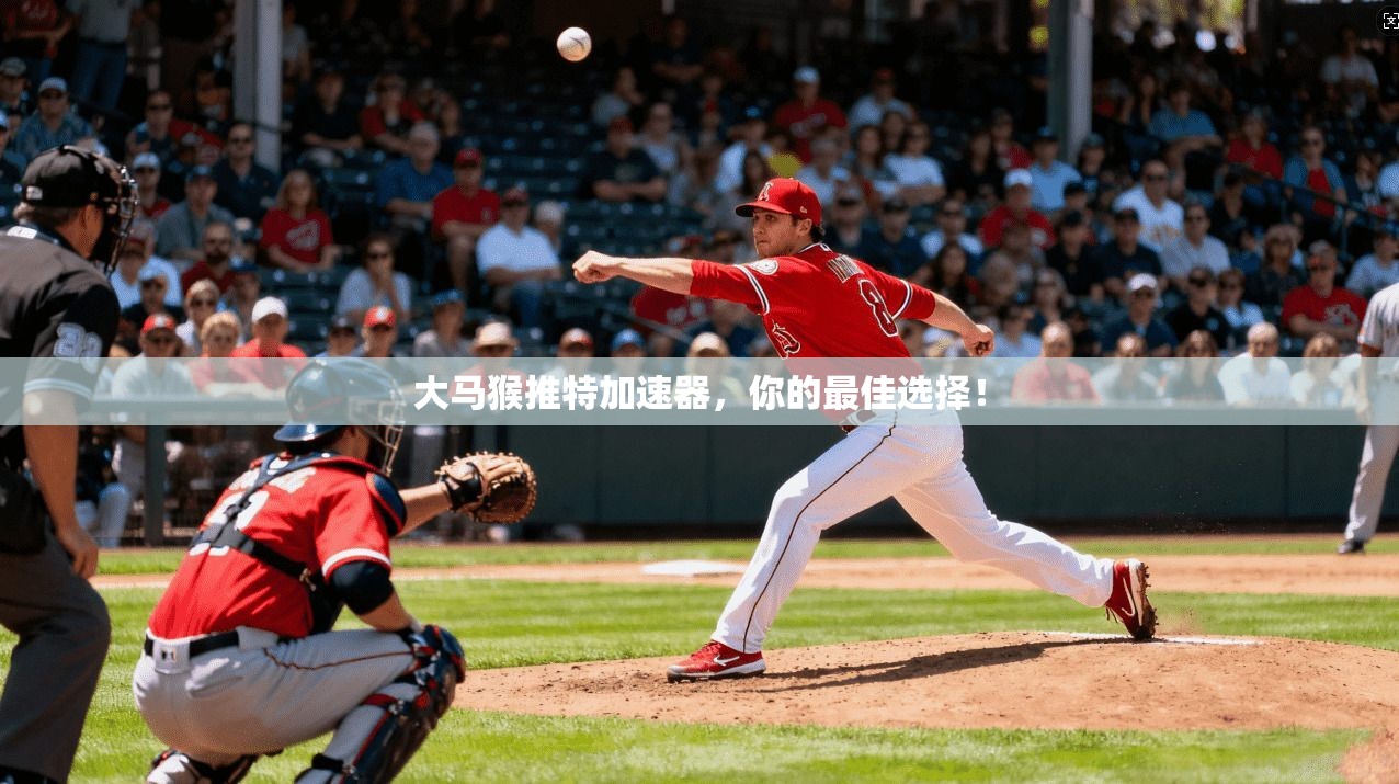 大马猴推特加速器，你的最佳选择！