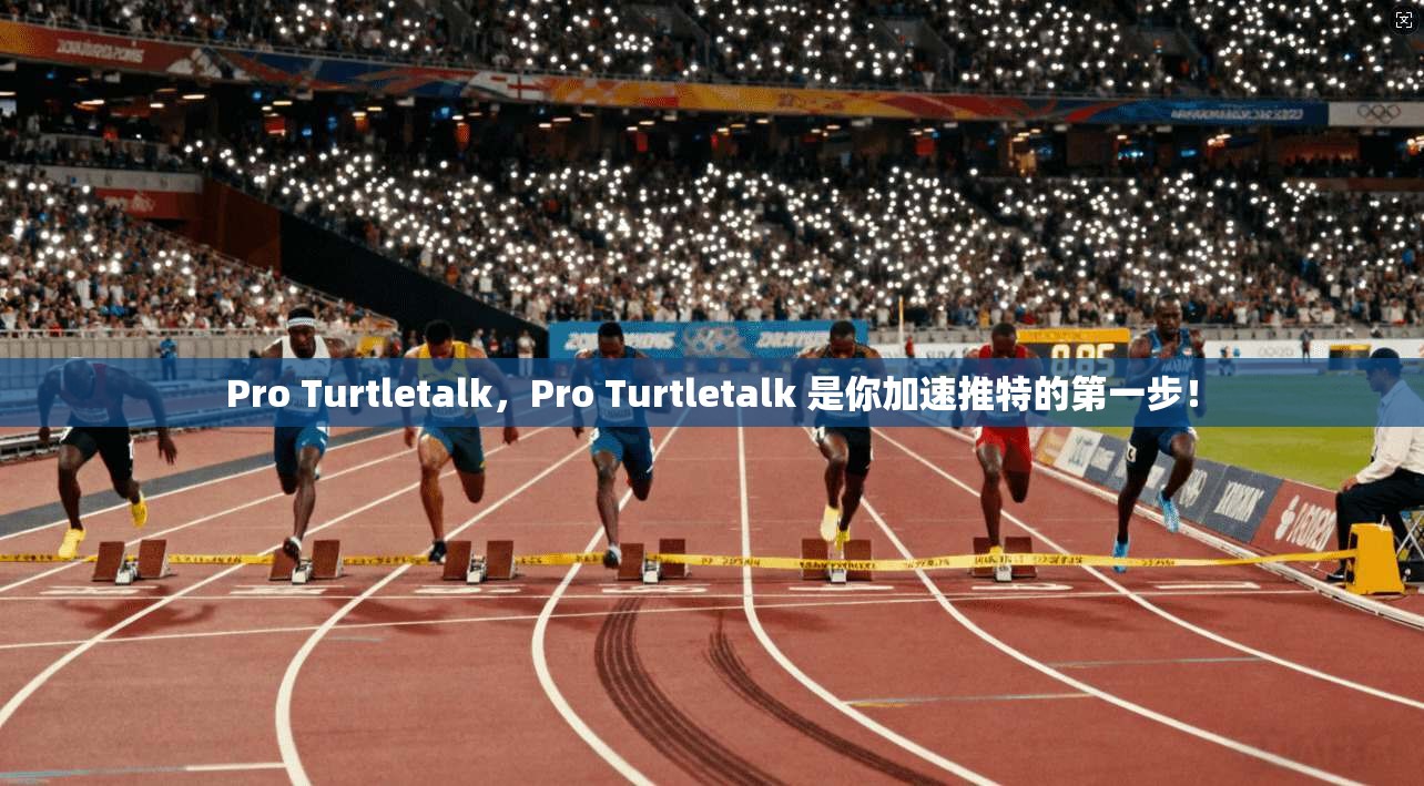 Pro Turtletalk，Pro Turtletalk 是你加速推特的第一步！
