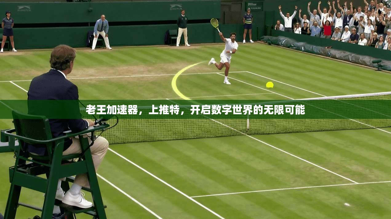 老王加速器,上推特,开启数字世界的无限可能