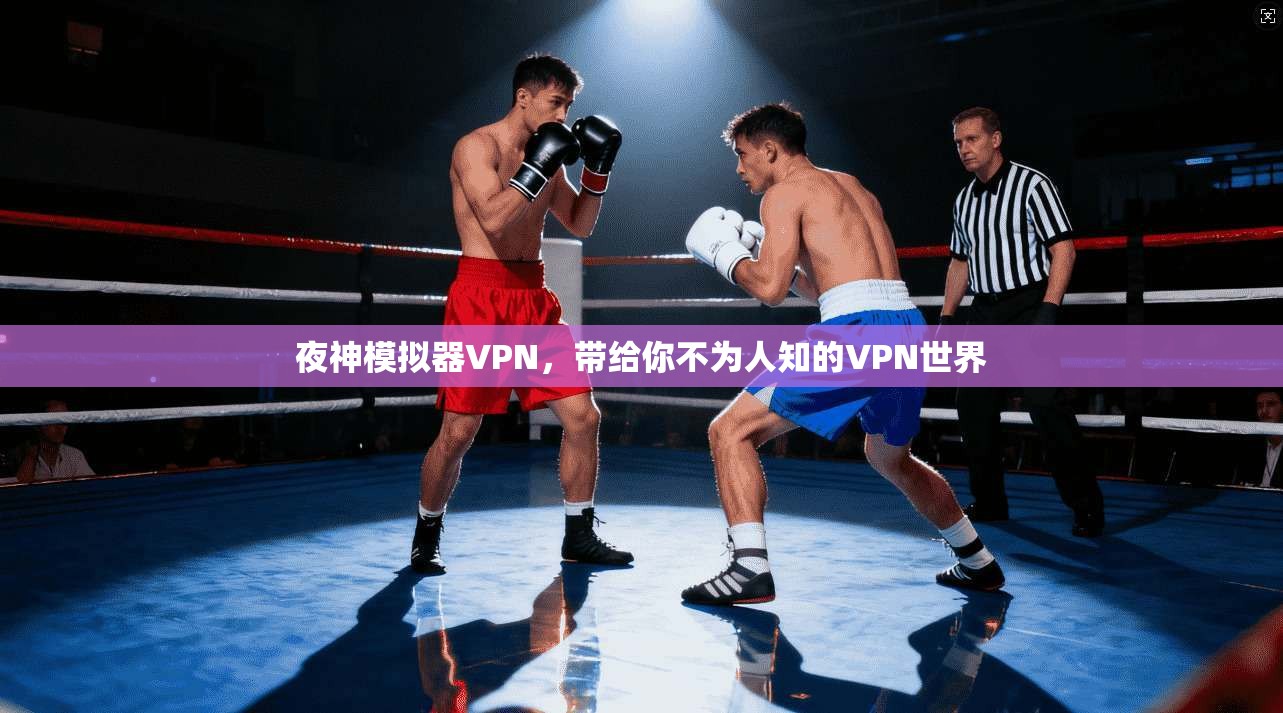 夜神模拟器VPN，带给你不为人知的VPN世界
