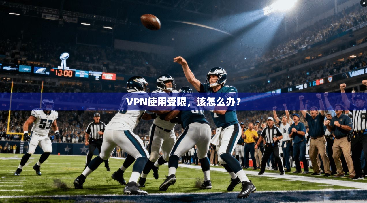 VPN使用受限，该怎么办？