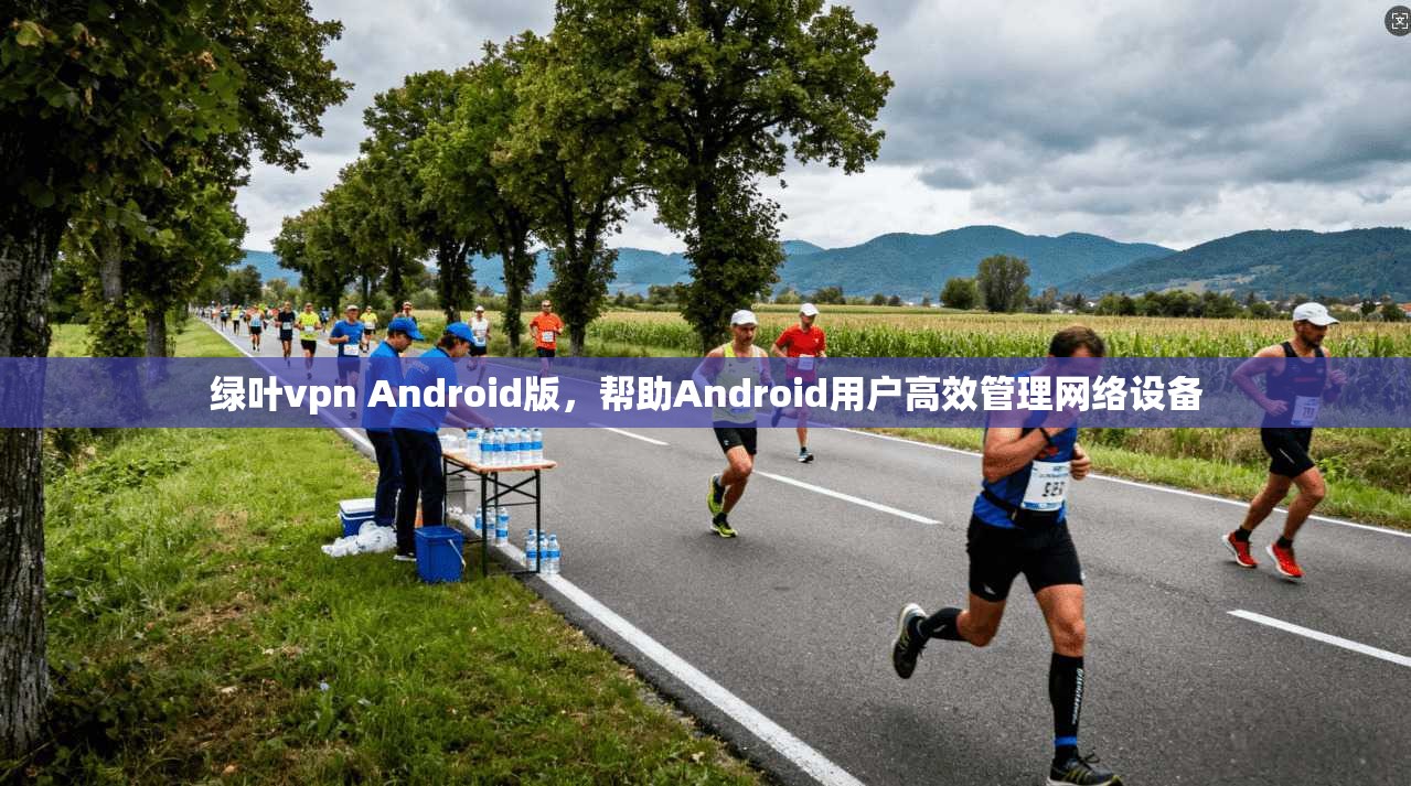绿叶vpn Android版，帮助Android用户高效管理网络设备