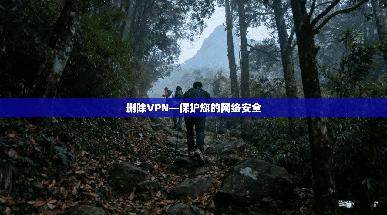删除VPN—保护您的网络安全