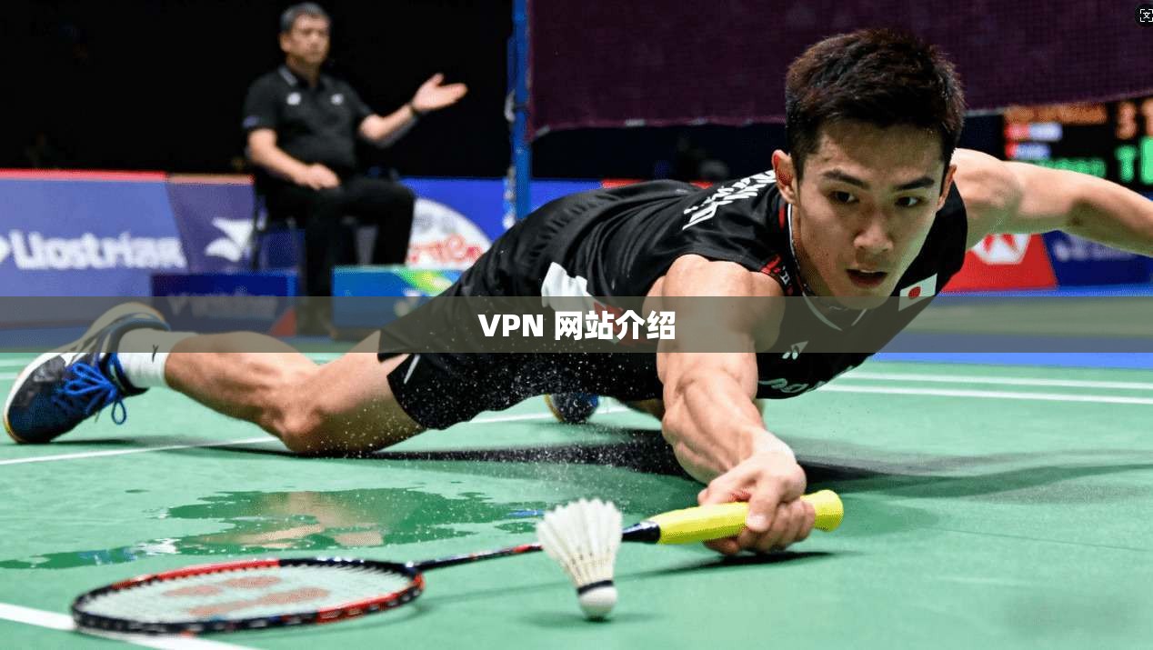 VPN 网站介绍
