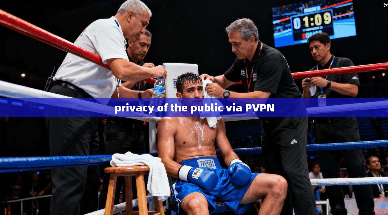 privacy of the public via PVPN