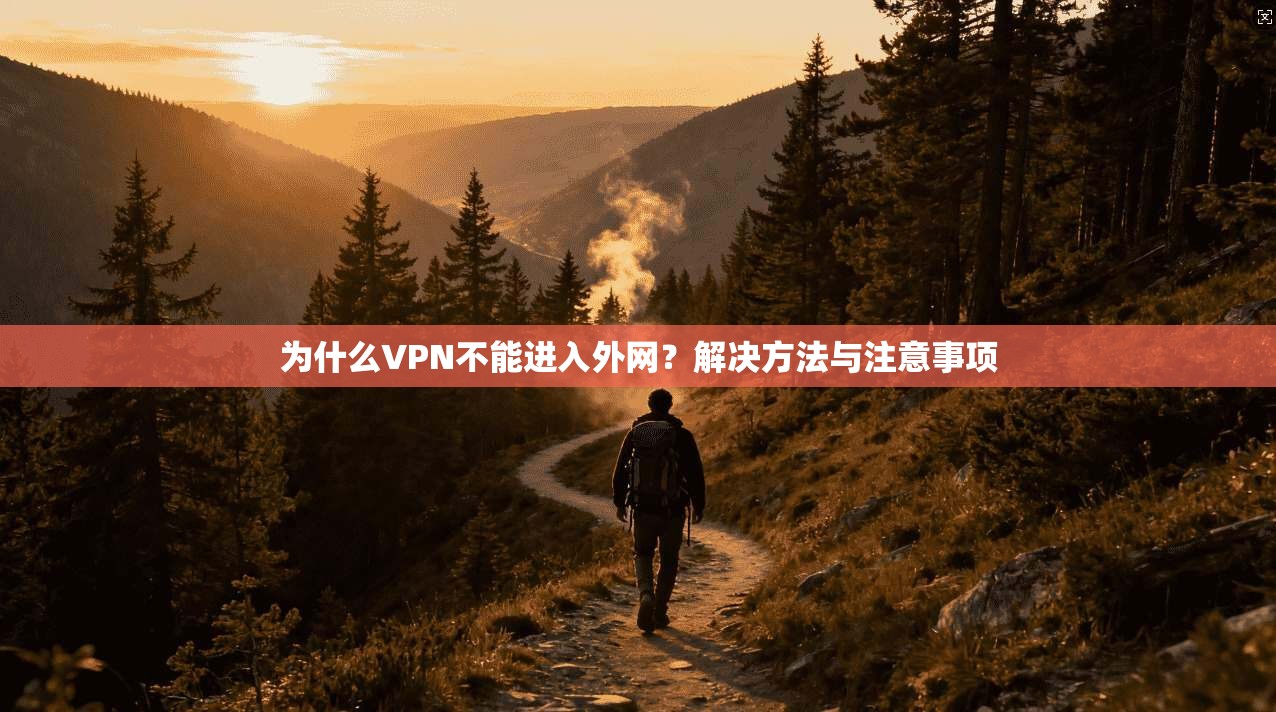 为什么VPN不能进入外网？解决方法与注意事项