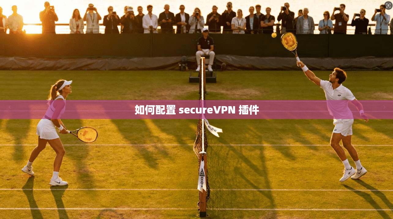 如何配置 secureVPN 插件