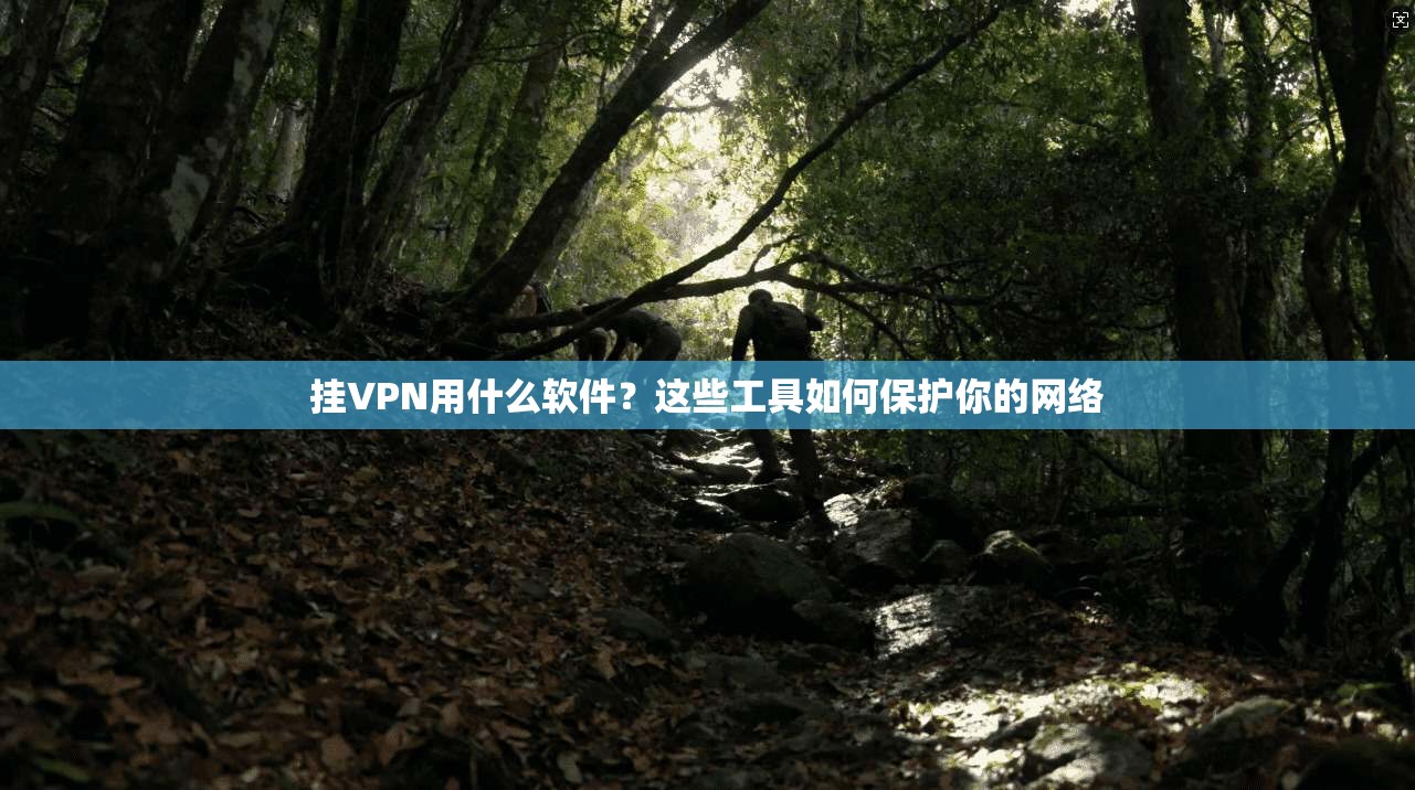 挂VPN用什么软件？这些工具如何保护你的网络