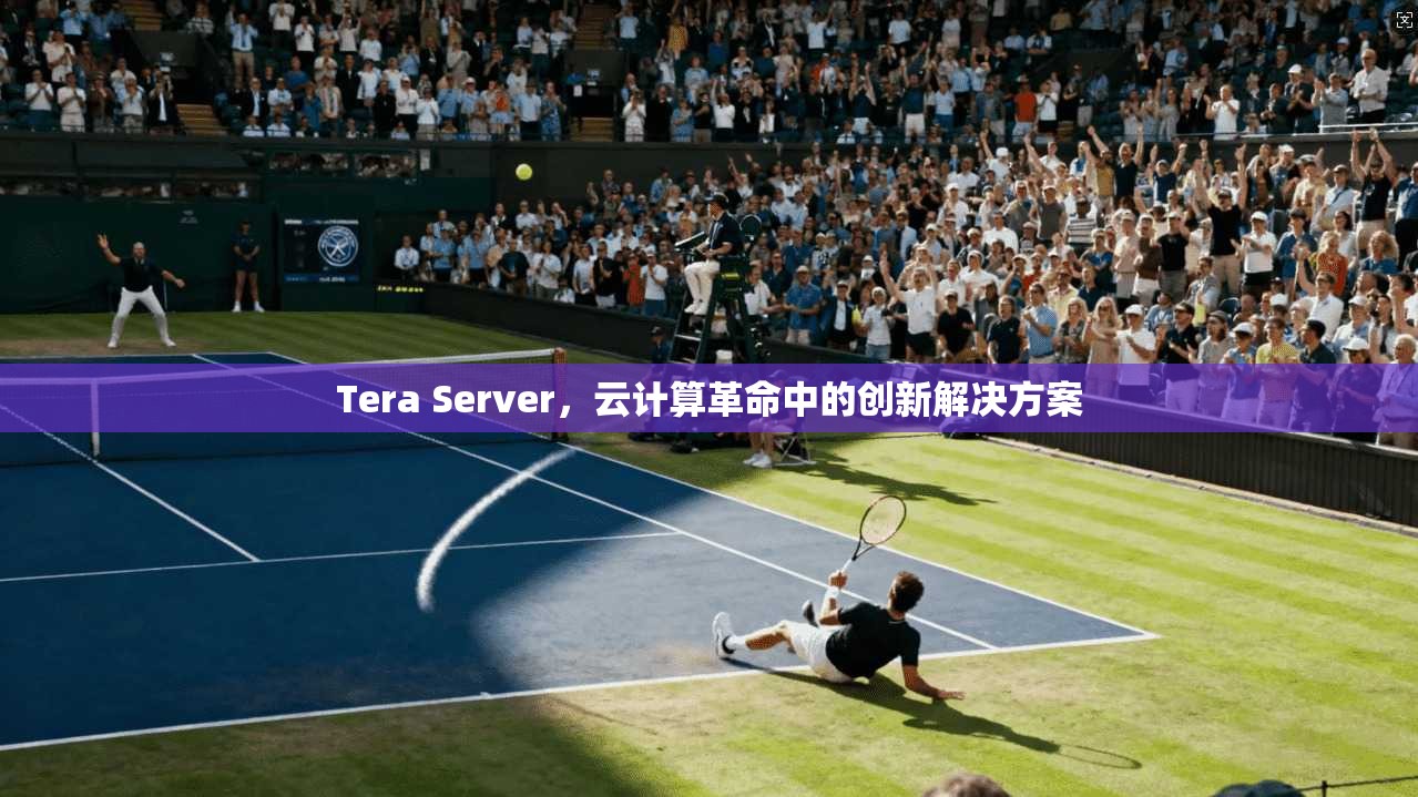 Tera Server，云计算革命中的创新解决方案