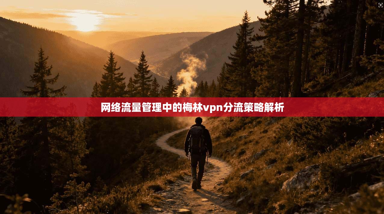 网络流量管理中的梅林vpn分流策略解析