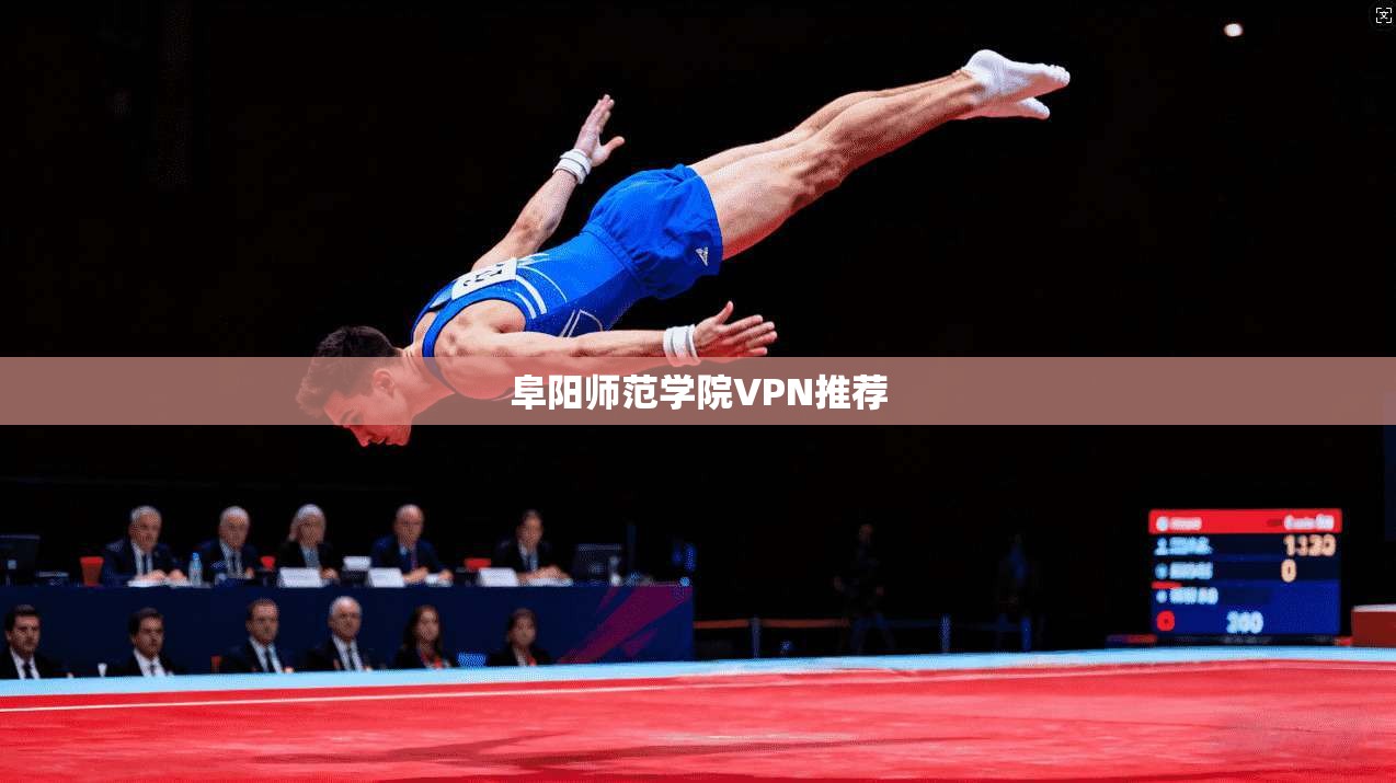 阜阳师范学院VPN推荐