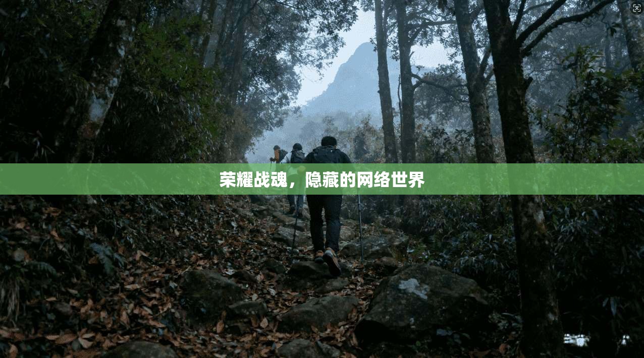 荣耀战魂，隐藏的网络世界