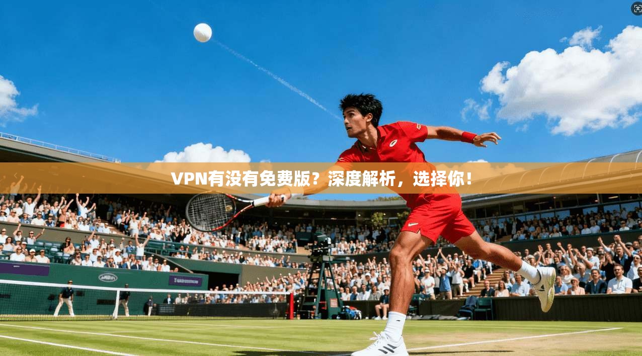 VPN有没有免费版？深度解析，选择你！
