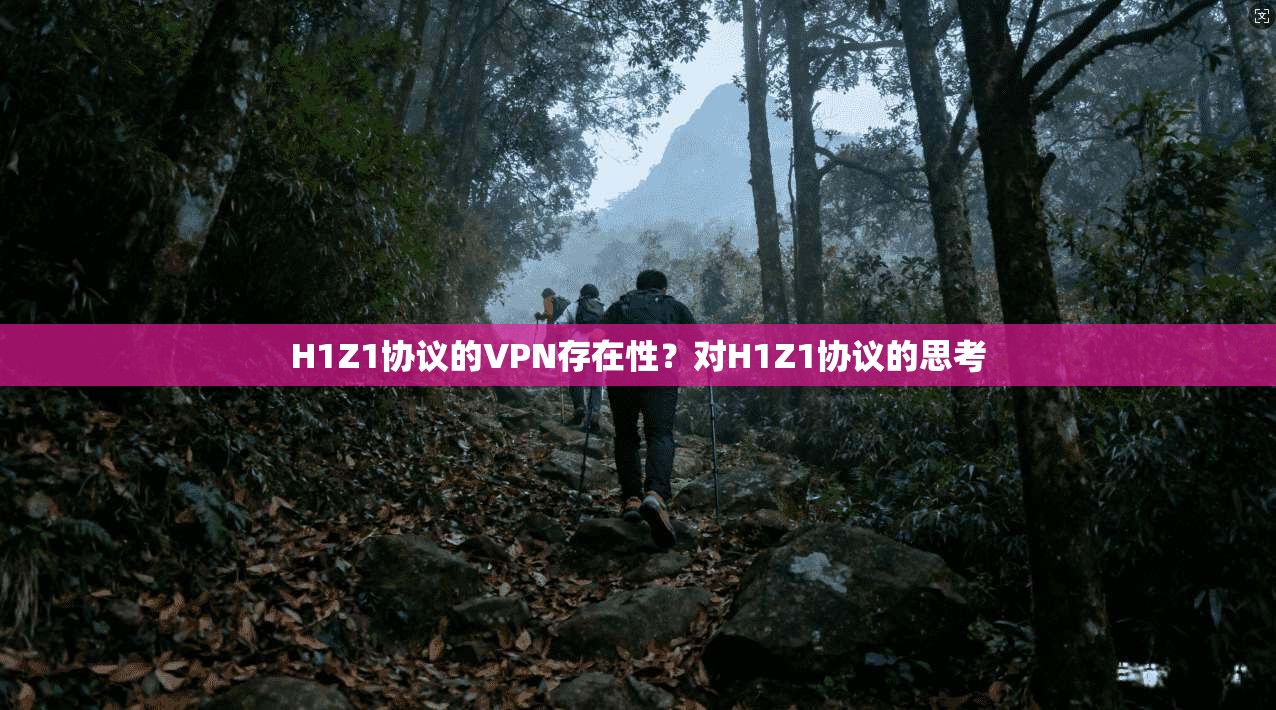 H1Z1协议的VPN存在性？对H1Z1协议的思考