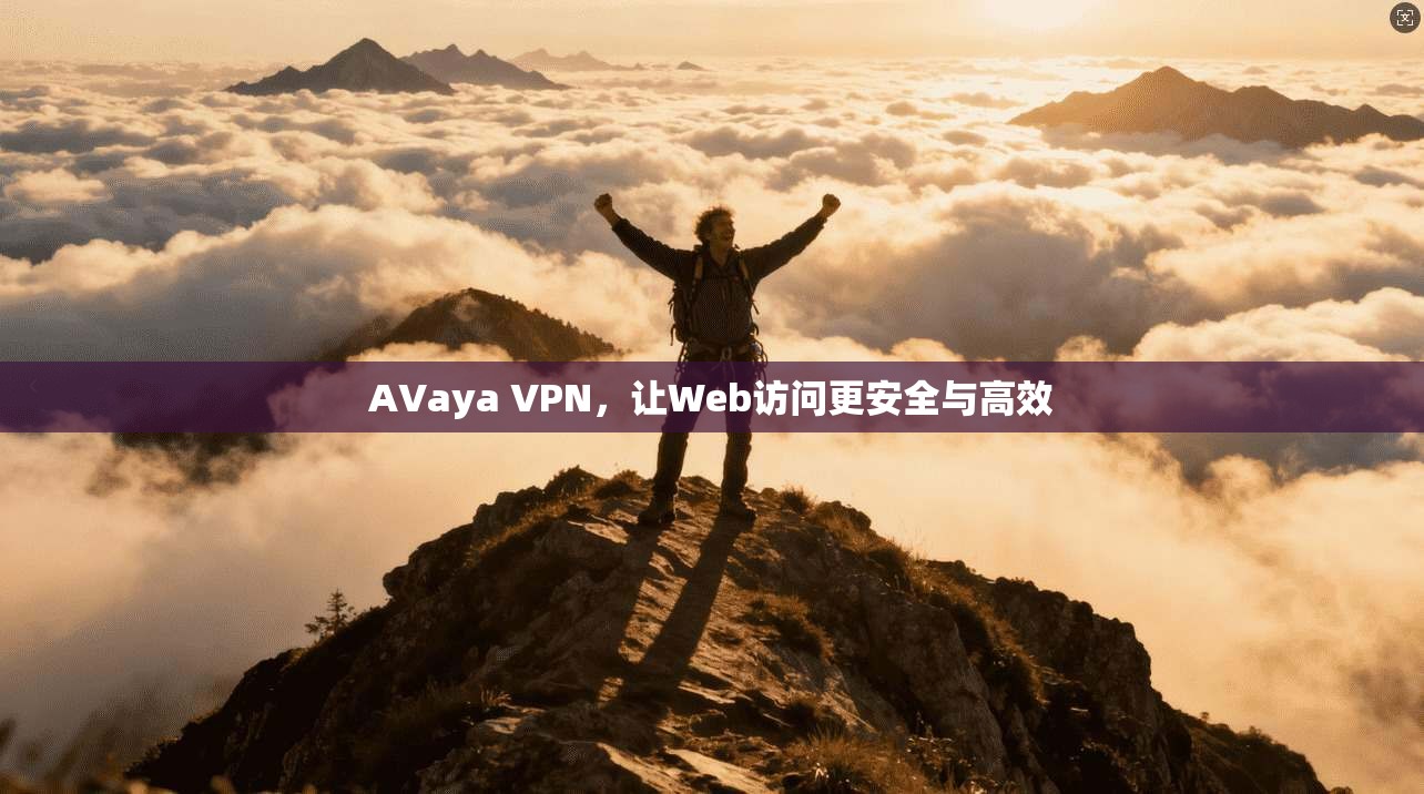 AVaya VPN，让Web访问更安全与高效
