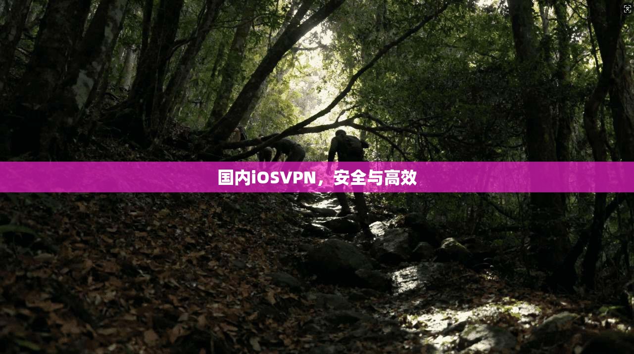 国内iOSVPN，安全与高效