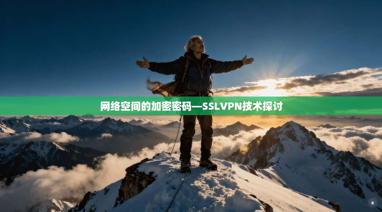 网络空间的加密密码—SSLVPN技术探讨