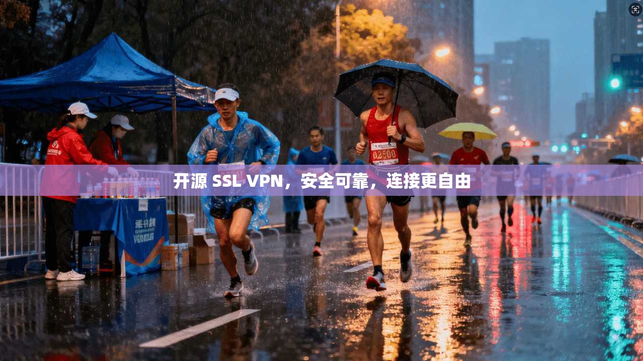 开源 SSL VPN，安全可靠，连接更自由