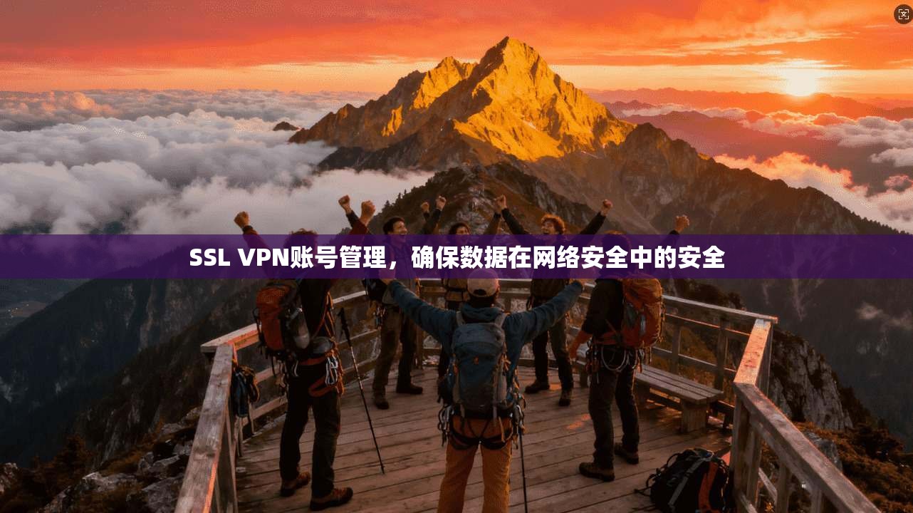 SSL VPN账号管理，确保数据在网络安全中的安全