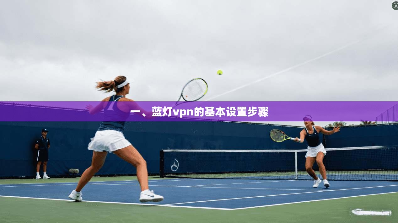 一、蓝灯vpn的基本设置步骤