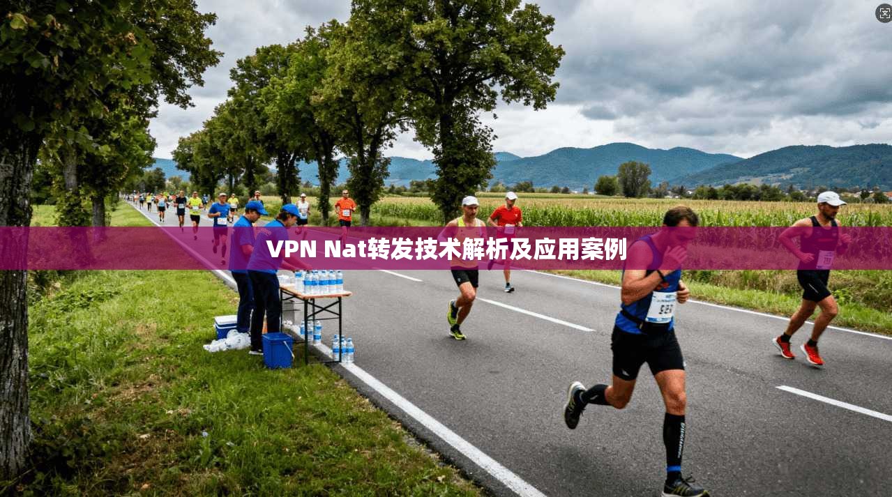 VPN Nat转发技术解析及应用案例