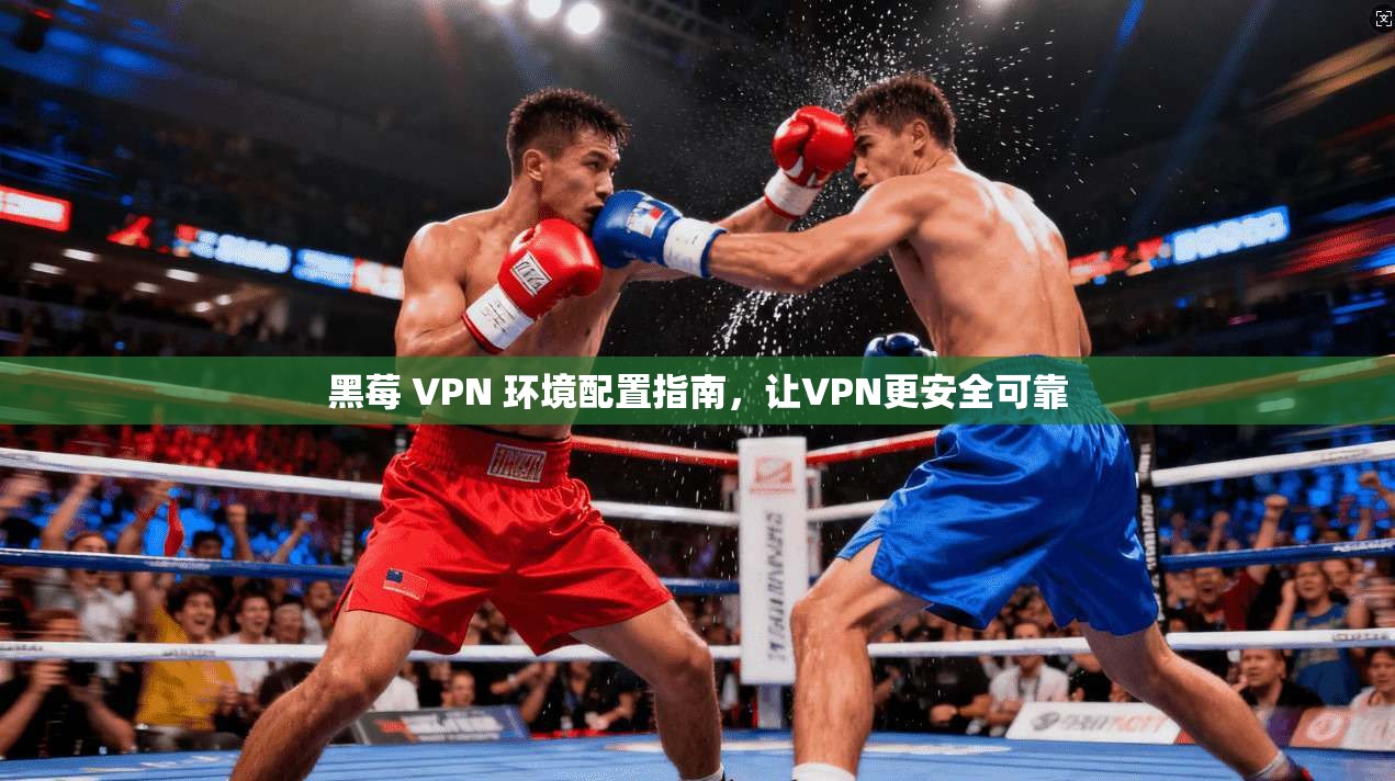 黑莓 VPN 环境配置指南，让VPN更安全可靠