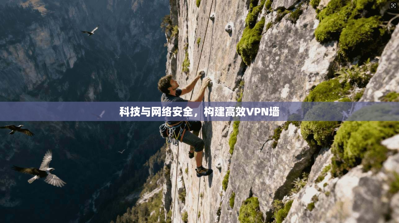 科技与网络安全，构建高效VPN墙