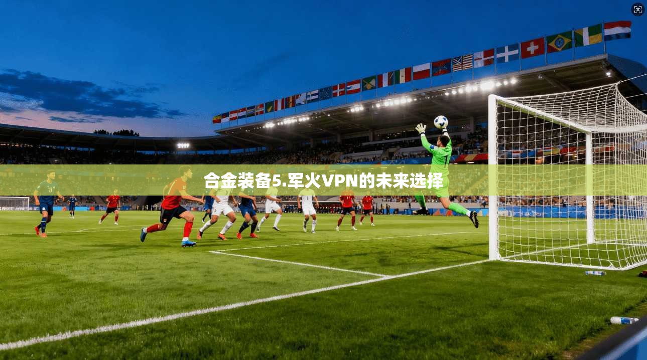 合金装备5.军火VPN的未来选择