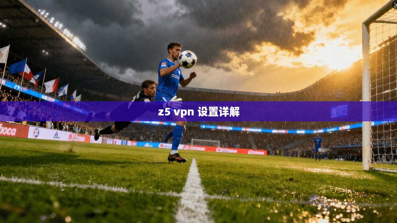 z5 vpn 设置详解
