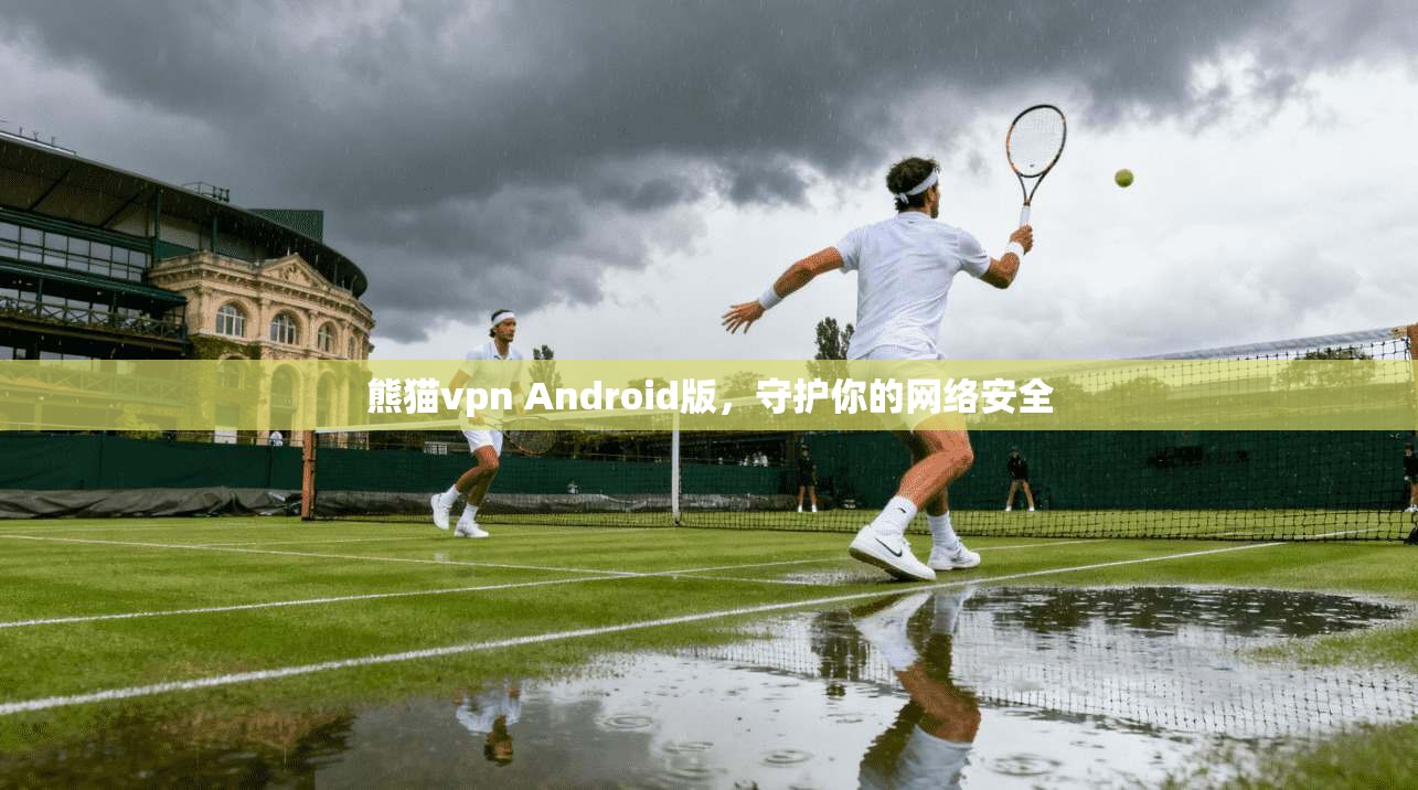 熊猫vpn Android版，守护你的网络安全
