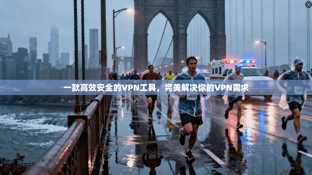 一款高效安全的VPN工具，完美解决你的VPN需求