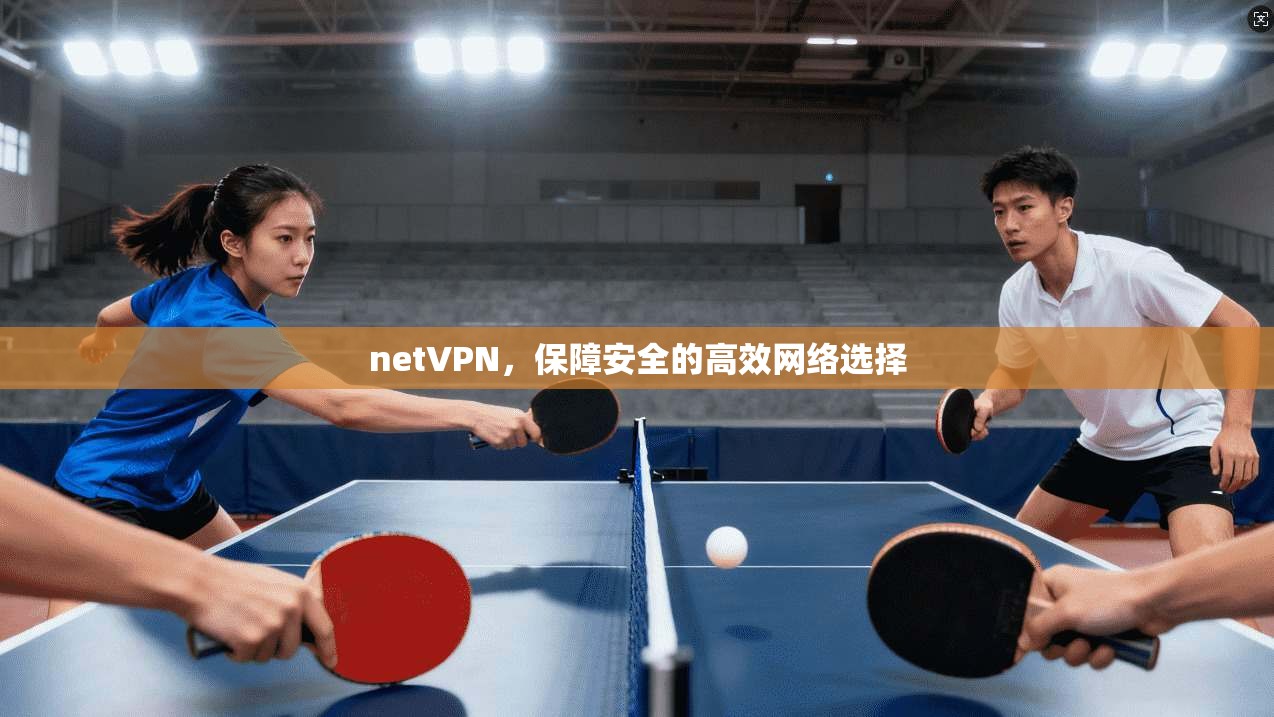 netVPN，保障安全的高效网络选择