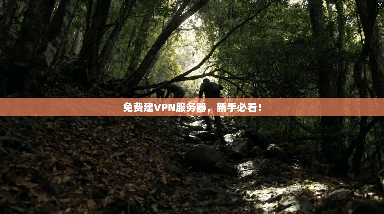 免费建VPN服务器，新手必看！