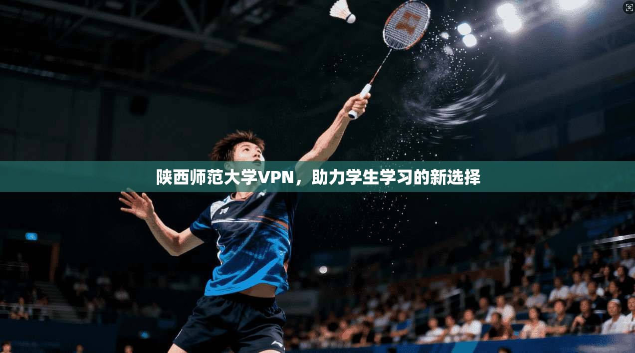 陕西师范大学VPN，助力学生学习的新选择