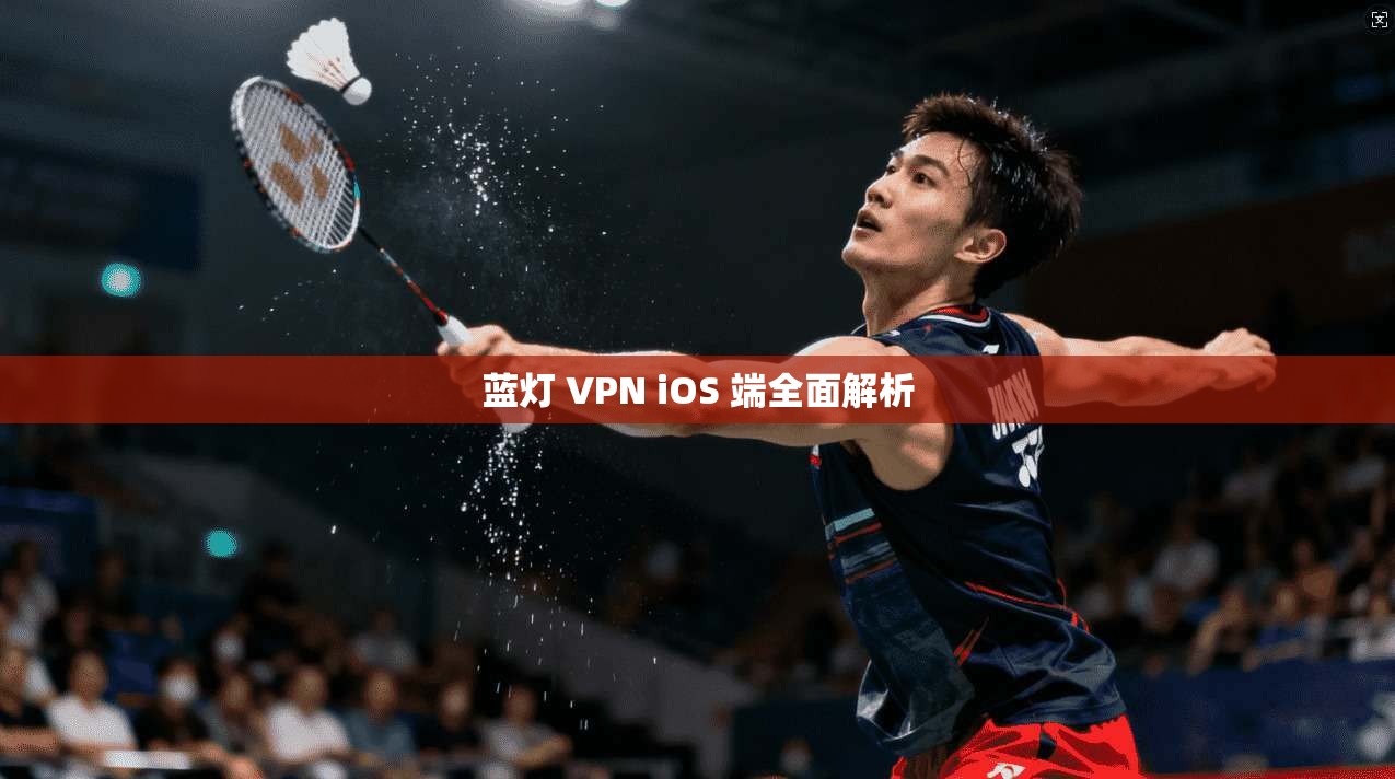 蓝灯 VPN iOS 端全面解析