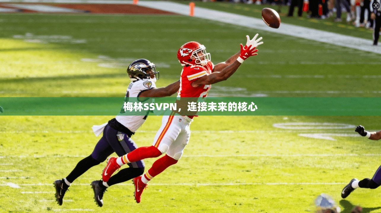 梅林SSVPN，连接未来的核心