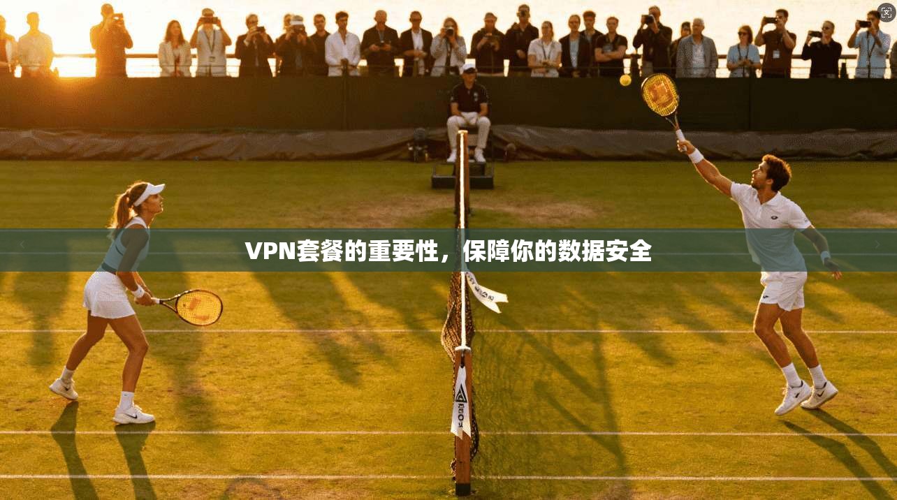 VPN套餐的重要性，保障你的数据安全