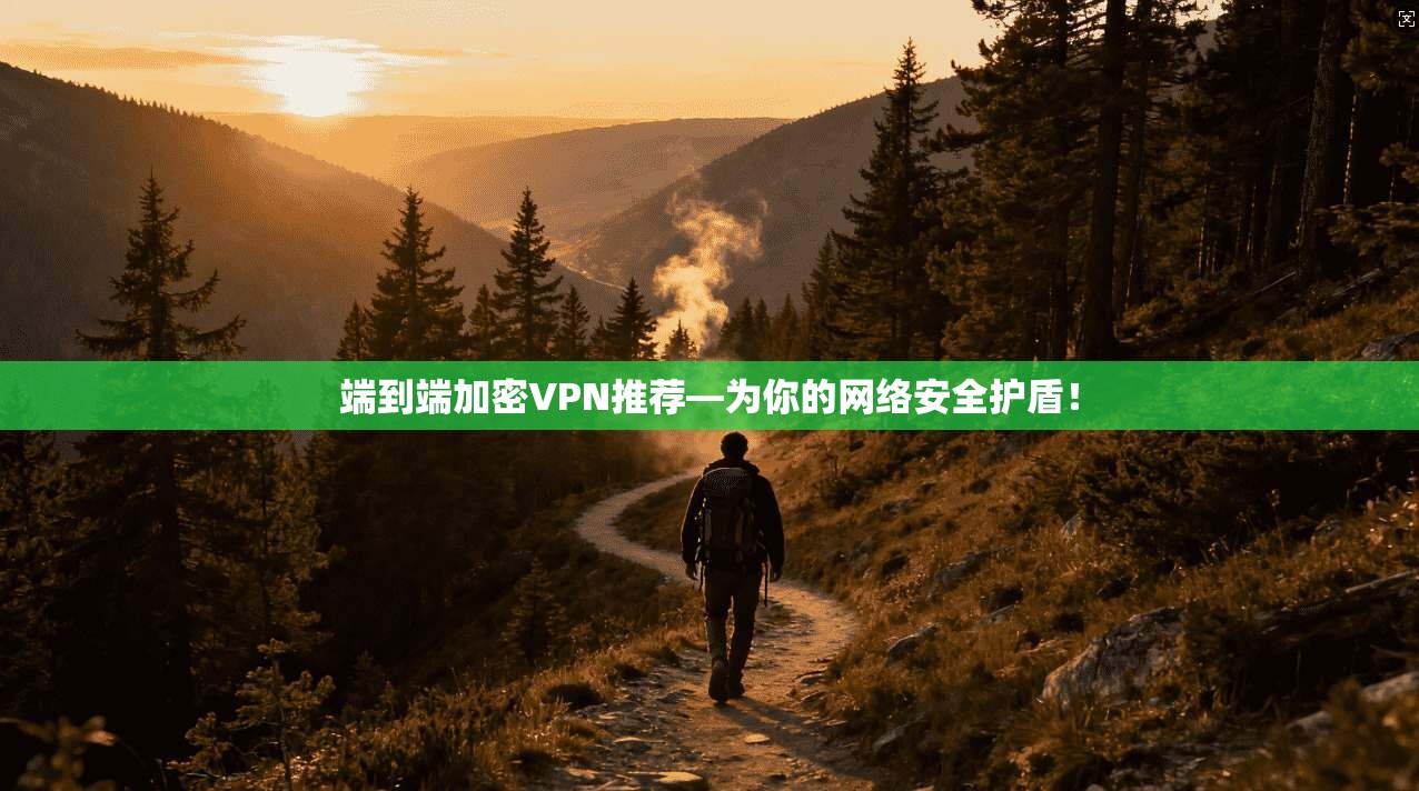 端到端加密VPN推荐—为你的网络安全护盾！