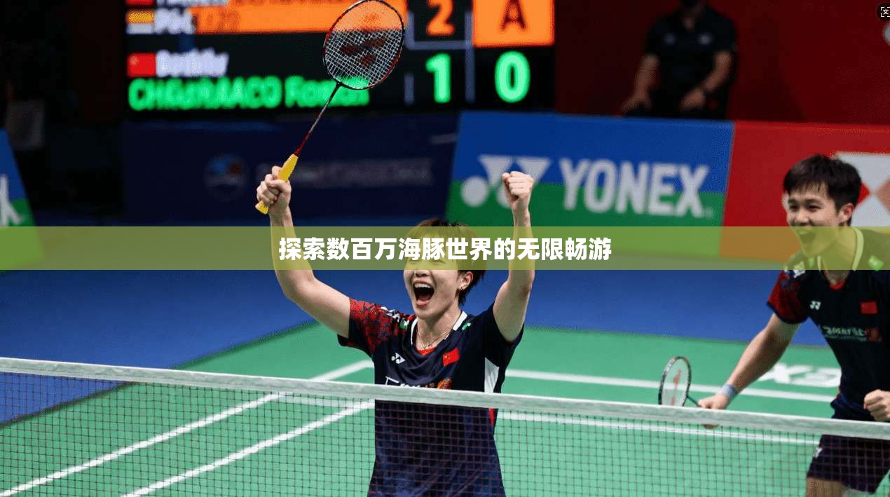 探索数百万海豚世界的无限畅游