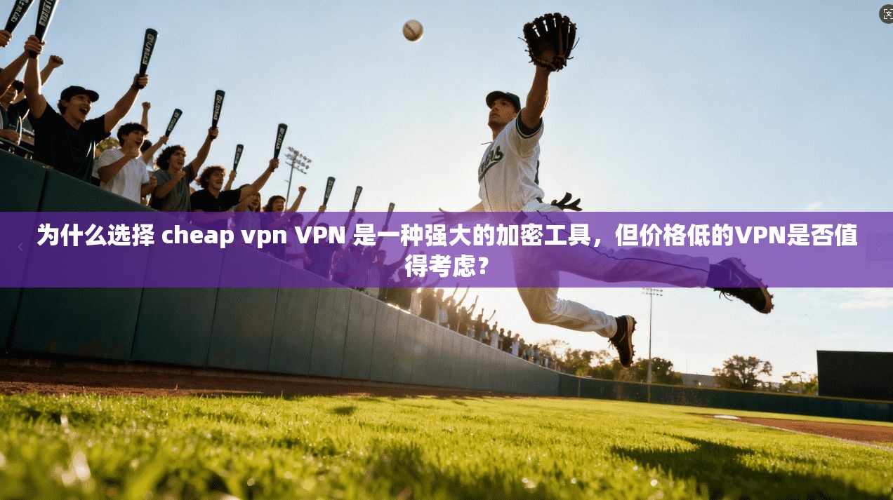 为什么选择 cheap vpn VPN 是一种强大的加密工具，但价格低的VPN是否值得考虑？