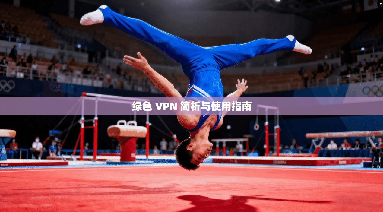 绿色 VPN 简析与使用指南