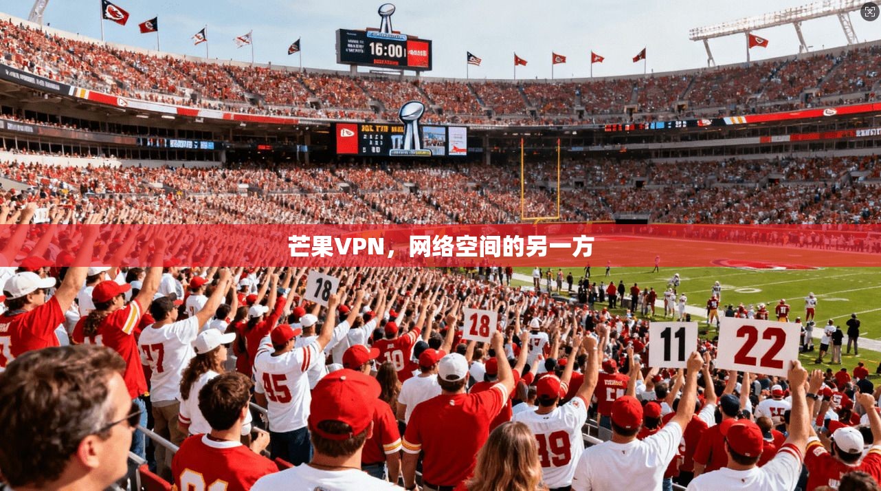 芒果VPN，网络空间的另一方