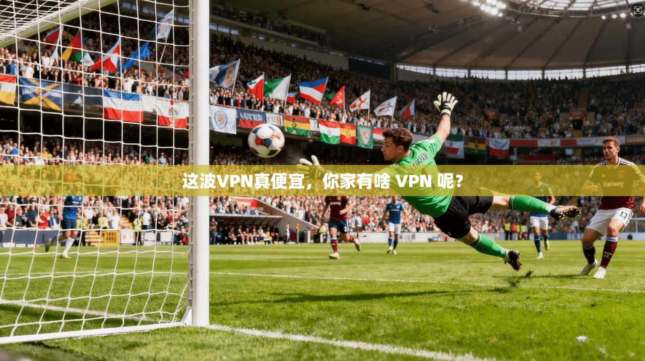 这波VPN真便宜，你家有啥 VPN 呢？